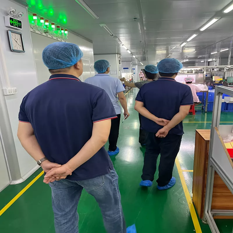 Visita à fábrica do cliente: explore nossa oficina livre de poeira Classe 100.000 e processo de fabricação de silicone